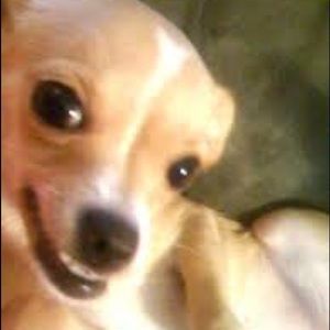 Meet your Posher, Valerie